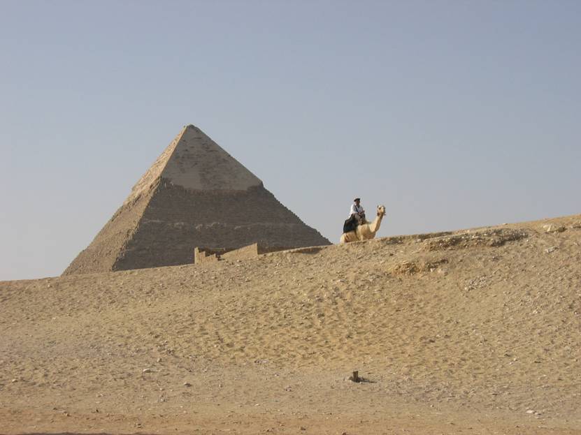 Aegypten Rundreise, Kairo, Cheops Pyramide von Giseh, Kamel