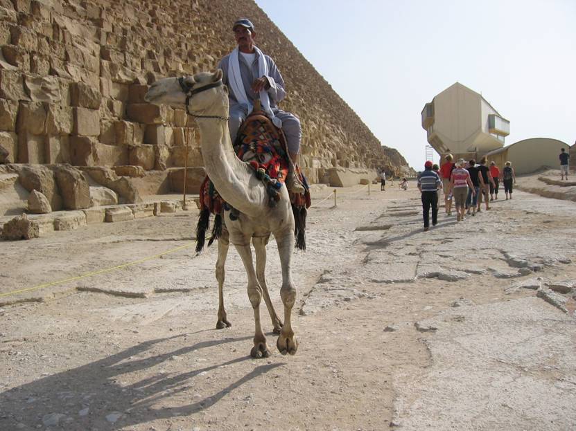 Aegypten Rundreise, Kairo, Cheops Pyramide von Giseh, Kamel,  Cheops-Boat-Museum