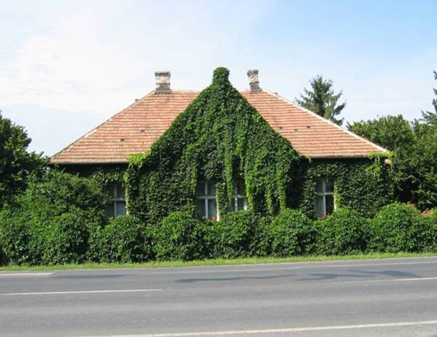 Mosonmagyarovar - mosonmagyarvr - Natur Hausfassade