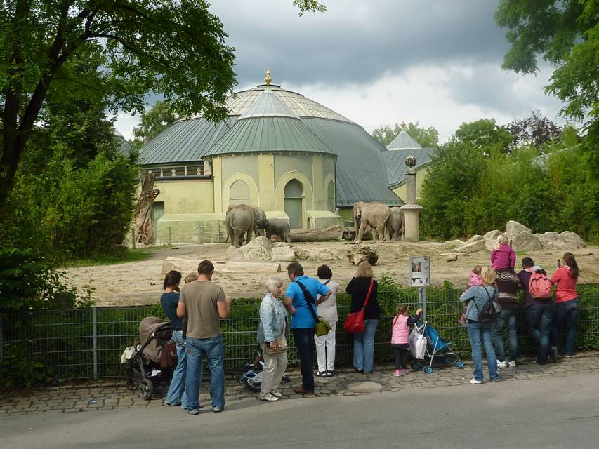 Muenchen Stadtbummel, Tierpark Hellabrunn, Elefanten