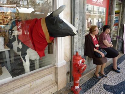 Portugal Rundreise, Lissabon, Kuhkopf im Auslagenfester