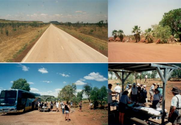 Westaustralien Rundreise, Fitzroy Crossing, Halls Creek, Gold