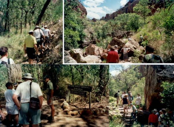 Westaustralien Rundreise, Thermalquellen von Zebedee Springs, Wanderung, Hot Springs