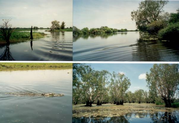 Westaustralien Rundreise, Termitenhuegel, Cathedrals oft the North, Kakadu Nationalpark, Boot-Safari, Suesswasserlagune-Yellow Waters
