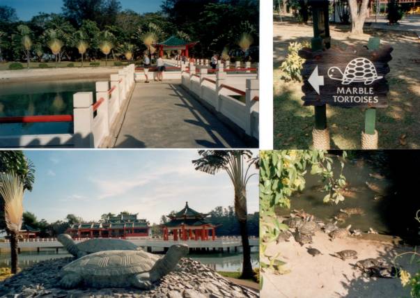 Westaustralien Rundreise, Singapore, Stadtrundfahrt, RMC-Tours, Schildgroetteninsel, KUSU ISLAND, Kusu Island