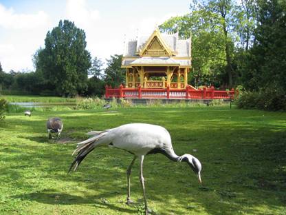 Hamburg, Tierpark Carl Hagenbeck, Thai Pavillon