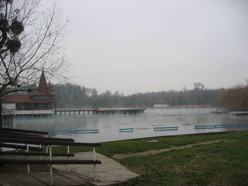 Heviz,Thermalsee